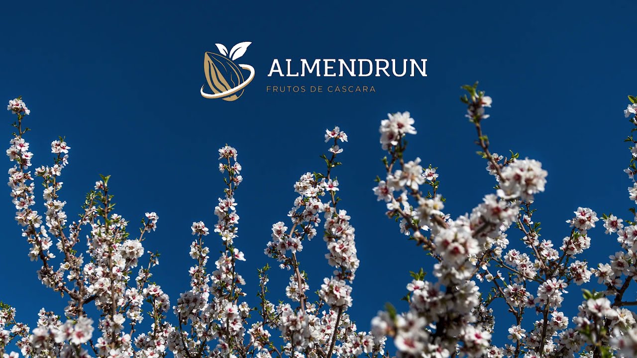 ALMENDRUN Floracion